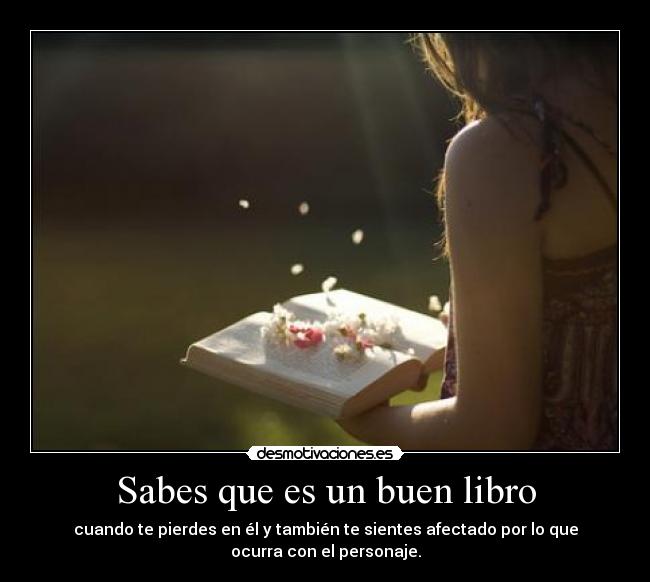 Sabes que es un buen libro -