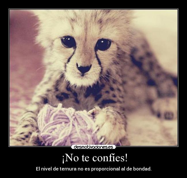 ¡No te confíes! - 