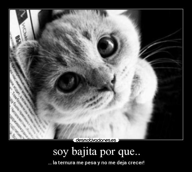 soy bajita por que.. -