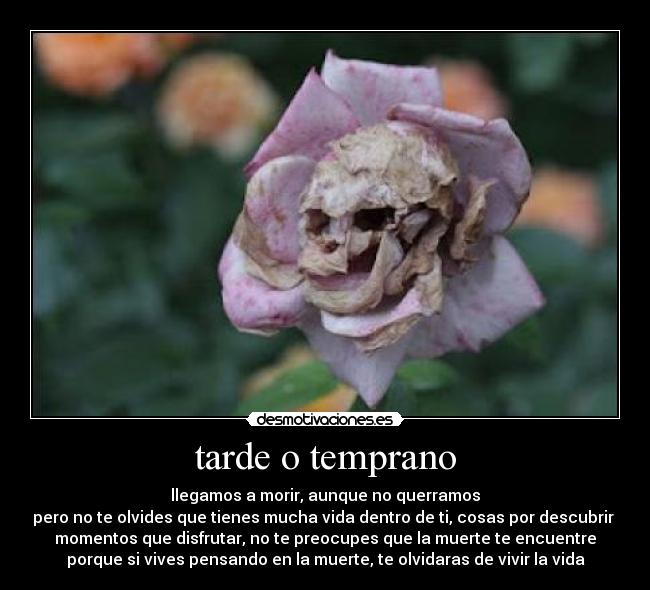 tarde o temprano - llegamos a morir, aunque no querramos
pero no te olvides que tienes mucha vida dentro de ti, cosas por descubrir
momentos que disfrutar, no te preocupes que la muerte te encuentre
porque si vives pensando en la muerte, te olvidaras de vivir la vida