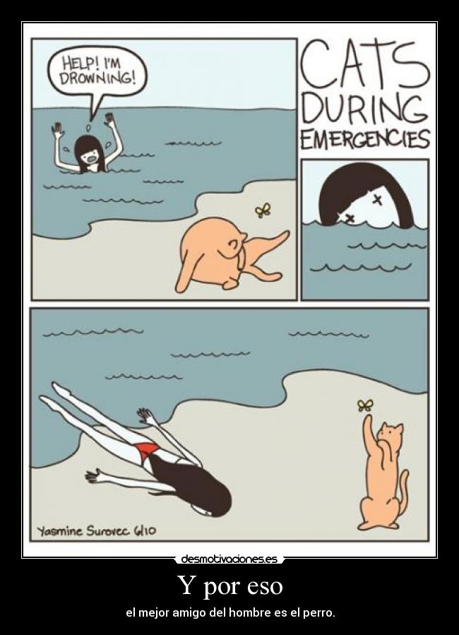 carteles gatos salvan cuando ahogas desmotivaciones