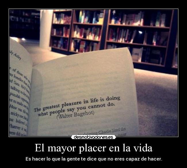 carteles vida mayor placer vida desmotivaciones