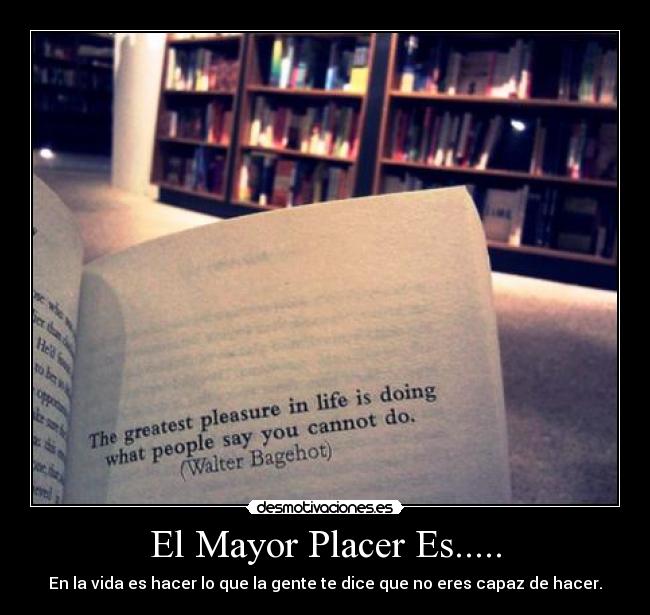 carteles placer desmotivaciones