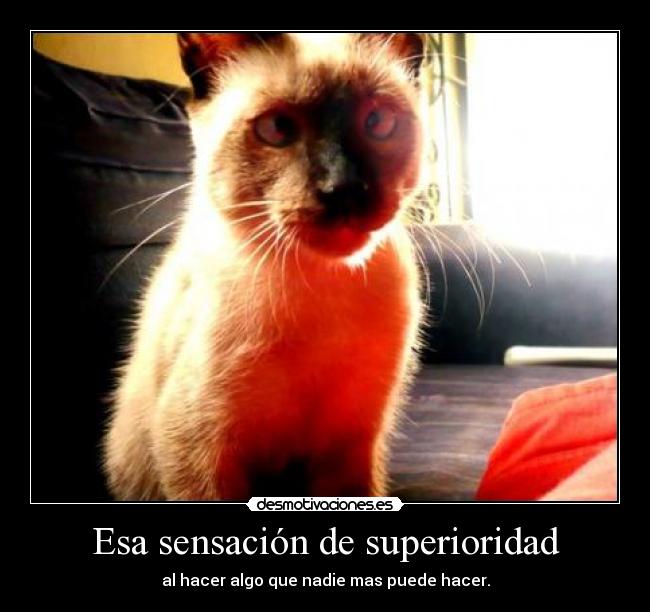 Esa sensación de superioridad -