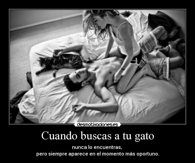 carteles papapitufo tiene miedo gatosde gargame desmotivaciones