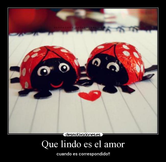 Que lindo es el amor -