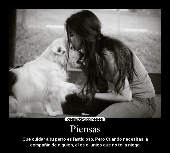 Piensas -