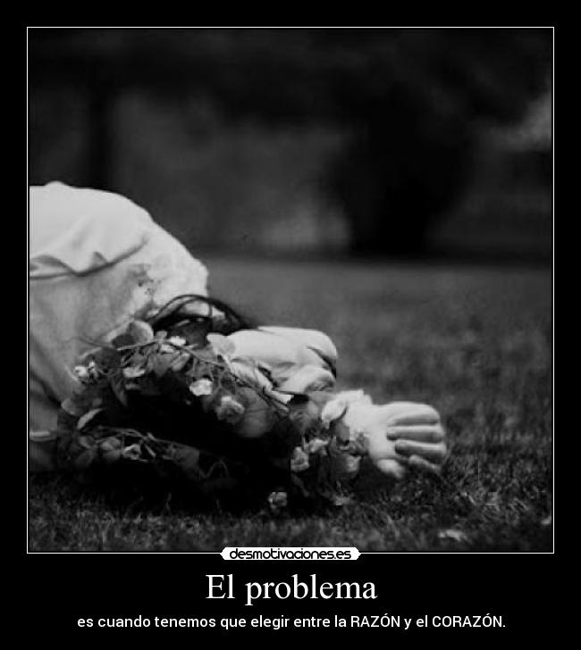 El problema - 