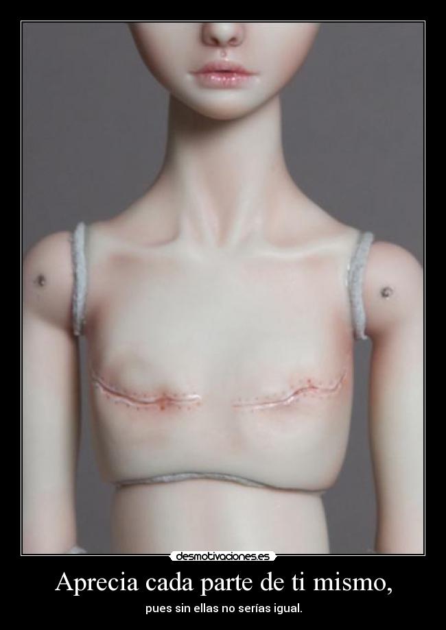 carteles toxicemotions returns desde kinderhouse clanmazodeflygon desmotivaciones