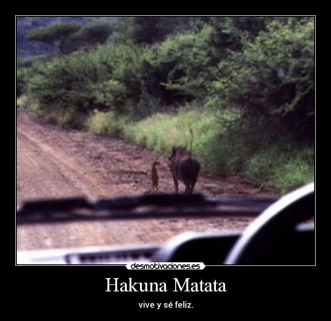 Hakuna Matata - 