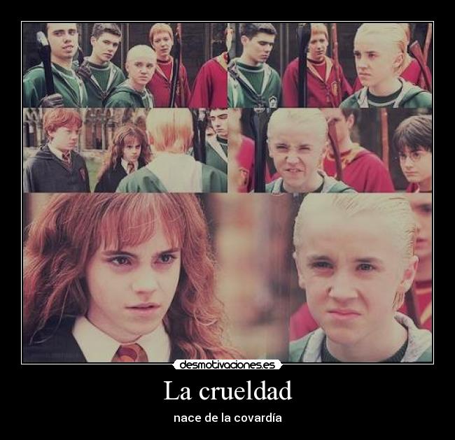 carteles tom felton emma watson draco malfoy harry potter desmotivaciones