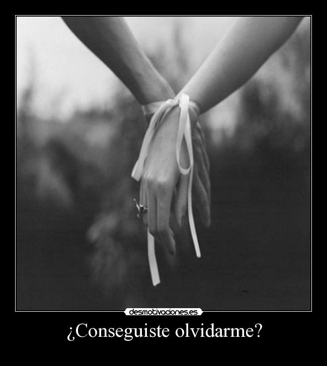 ¿Conseguiste olvidarme? -