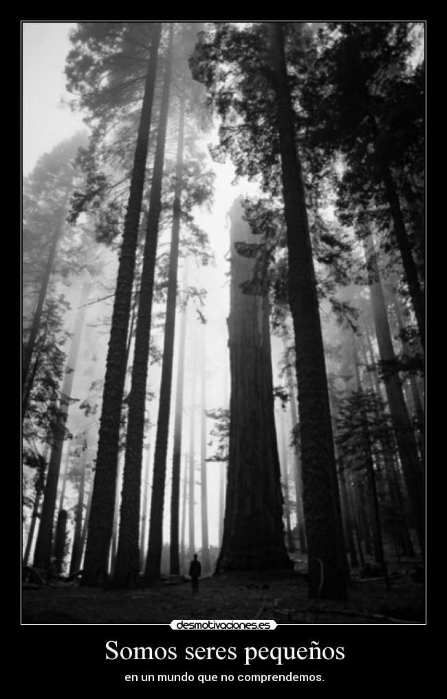 Somos seres pequeños - 