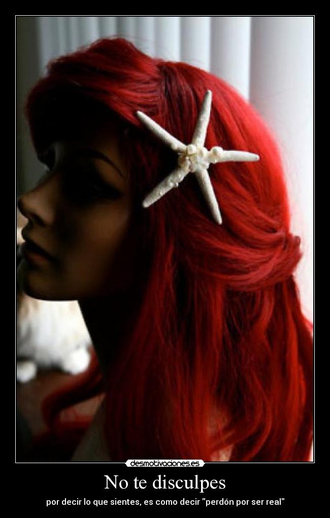 No te disculpes - 