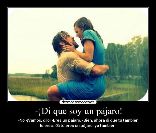 carteles jarytah desmotivaciones