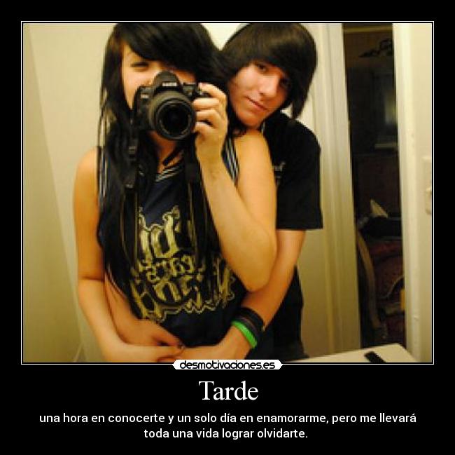 carteles amame desmotivaciones