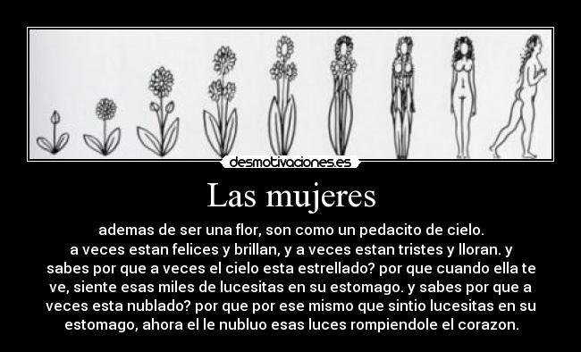 Las mujeres - ademas de ser una flor, son como un pedacito de cielo.
a veces estan felices y brillan, y a veces estan tristes y lloran. y
sabes por que a veces el cielo esta estrellado? por que cuando ella te
ve, siente esas miles de lucesitas en su estomago. y sabes por que a
veces esta nublado? por que por ese mismo que sintio lucesitas en su
estomago, ahora el le nubluo esas luces rompiendole el corazon.