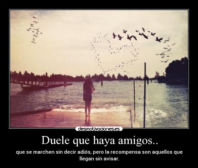 Duele que haya amigos.. - 