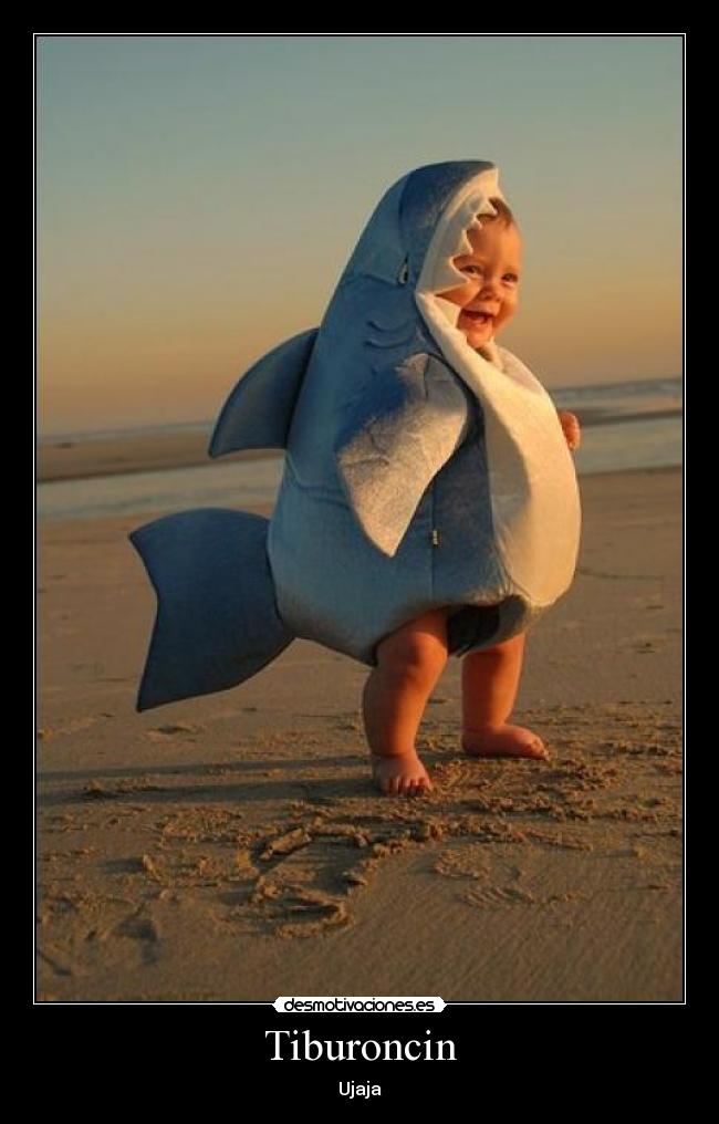 Tiburoncin - Ujaja