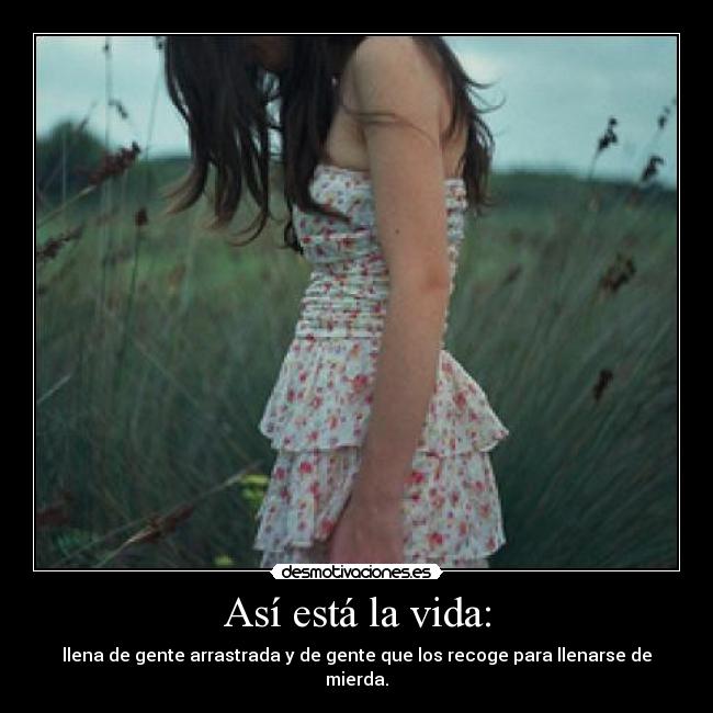 Así está la vida: - llena de gente arrastrada y de gente que los recoge para llenarse de mierda.