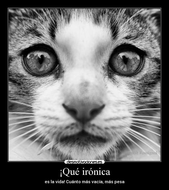 ¡Qué irónica - 