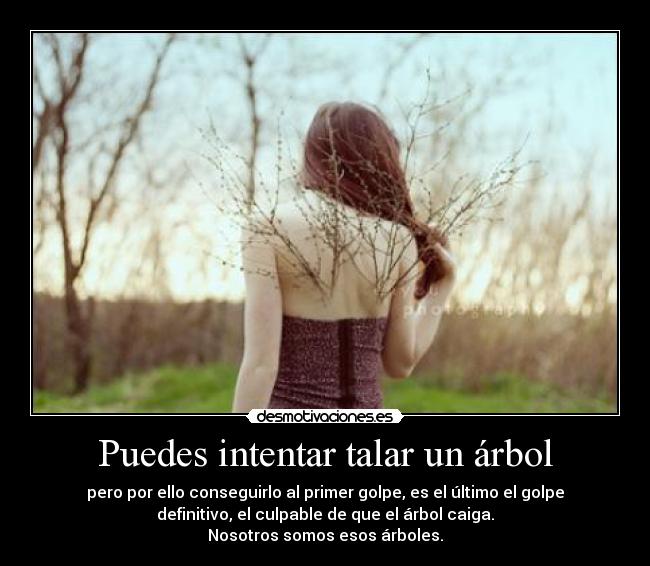 carteles true story desmotivaciones