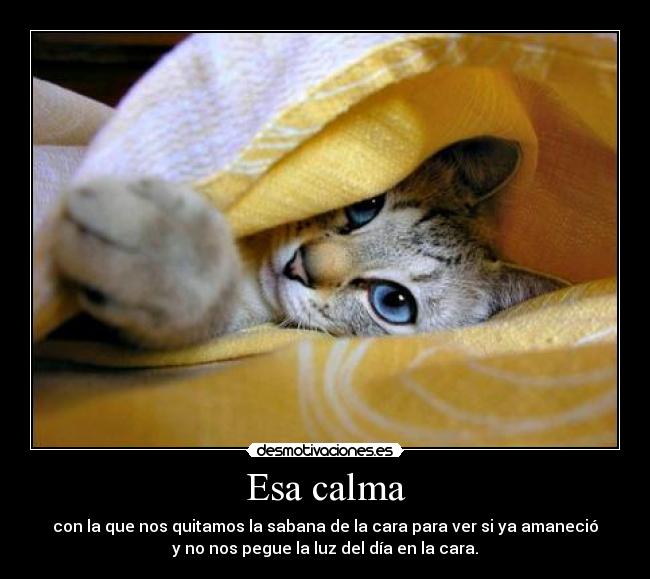 Esa calma -