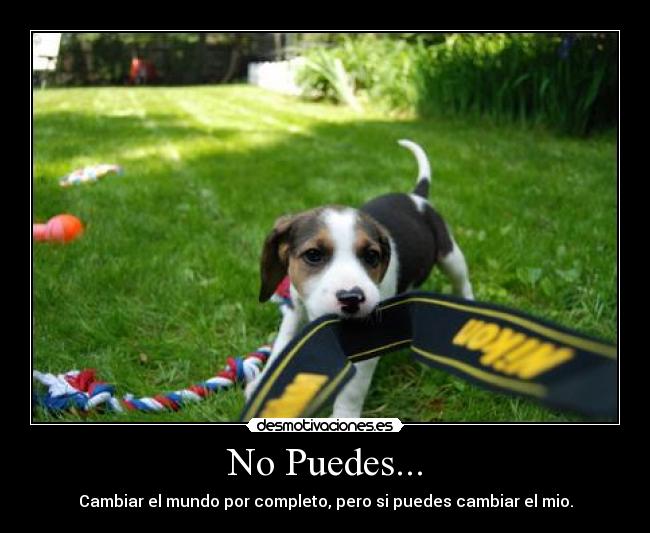 No Puedes... -
