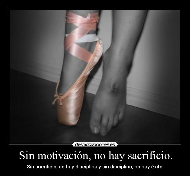 Sin motivación, no hay sacrificio. - Sin sacrificio, no hay disciplina y sin disciplina, no hay éxito.
