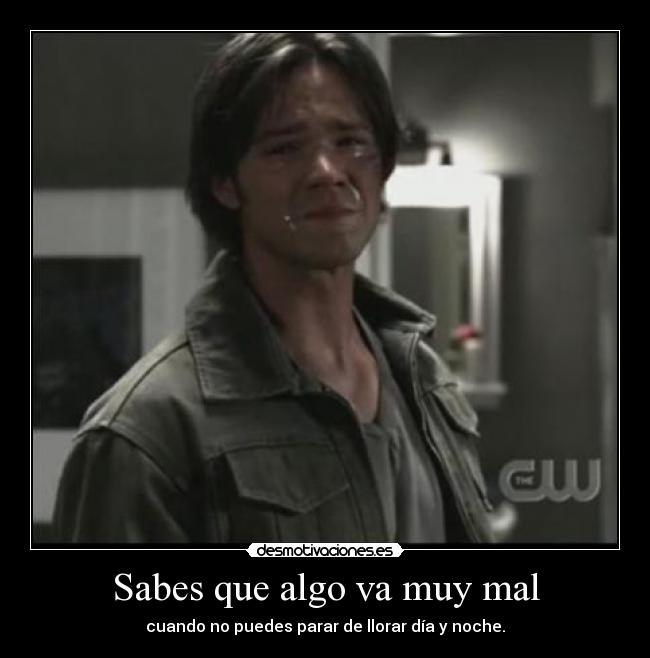 Sabes que algo va muy mal -