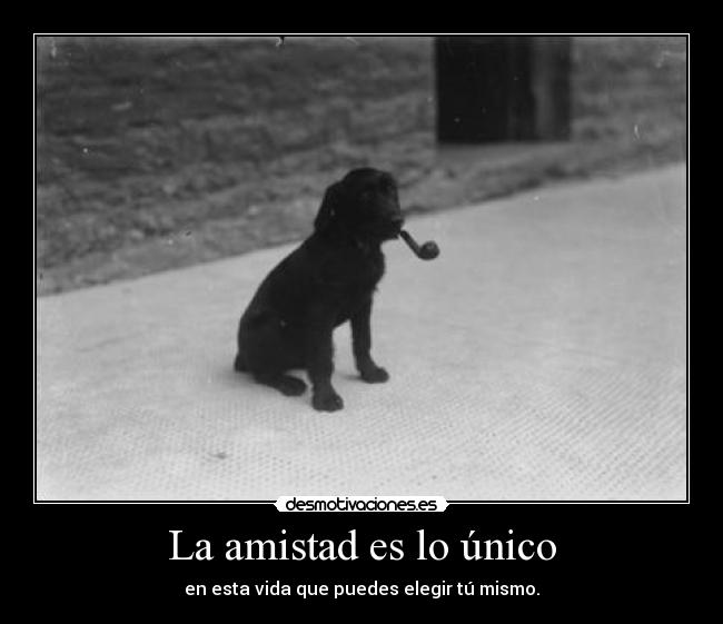 La amistad es lo único - 