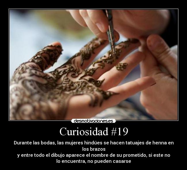 Curiosidad #19 -