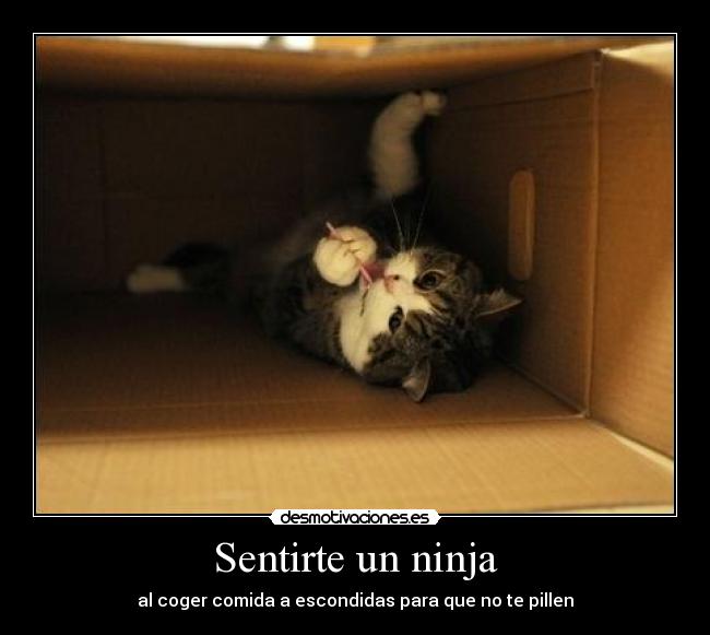 Sentirte un ninja - al coger comida a escondidas para que no te pillen
