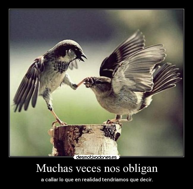 Muchas veces nos obligan -