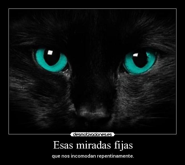 Esas miradas fijas - que nos incomodan repentinamente.