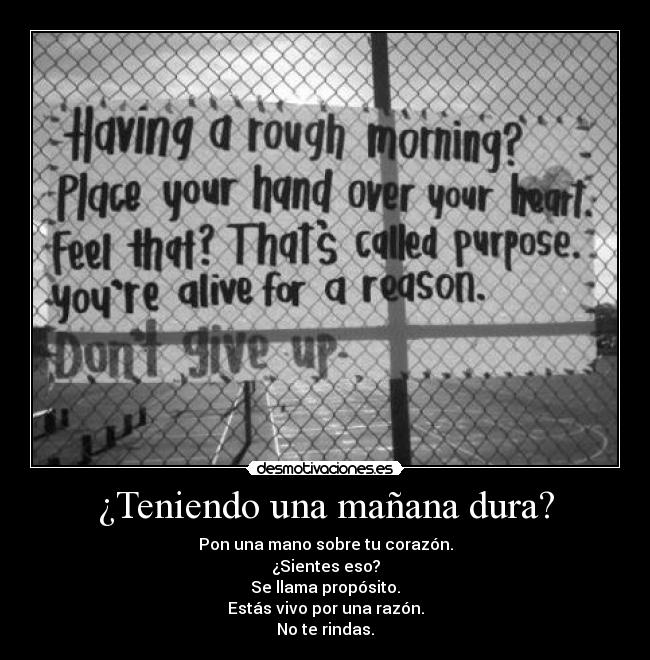 ¿Teniendo una mañana dura? - Pon una mano sobre tu corazón.
¿Sientes eso?
Se llama propósito.
Estás vivo por una razón.
No te rindas.