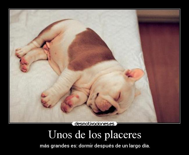 Unos de los placeres - más grandes es: dormir después de un largo día.