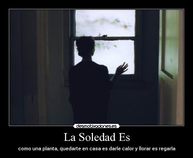 La Soledad Es - como una planta, quedarte en casa es darle calor y llorar es regarla