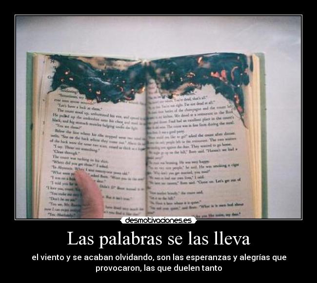Las palabras se las lleva - el viento y se acaban olvidando, son las esperanzas y alegrías que
provocaron, las que duelen tanto