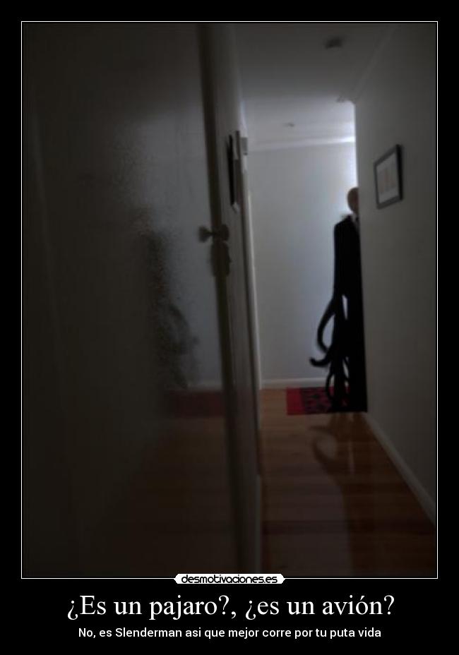 ¿Es un pajaro?, ¿es un avión? - No, es Slenderman asi que mejor corre por tu puta vida
