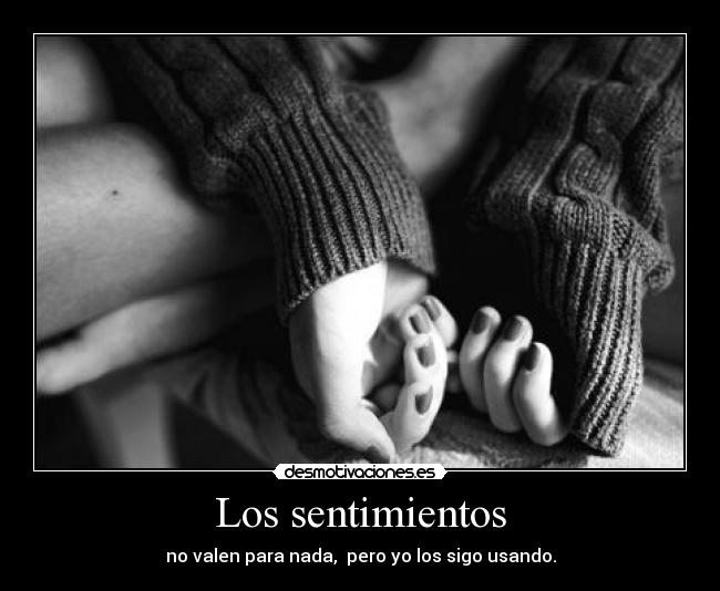 carteles sentimientos salva los unicornios desmotivaciones