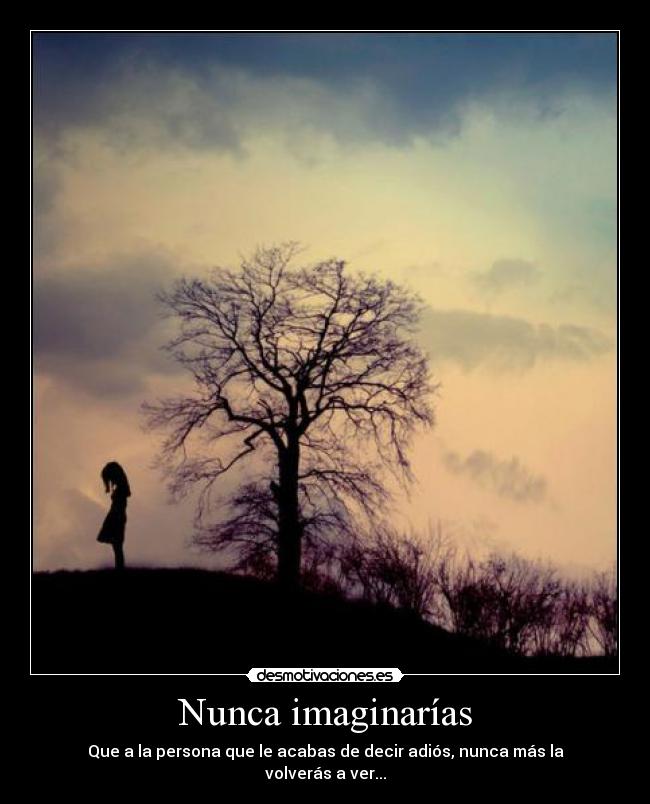Nunca imaginarías - Que a la persona que le acabas de decir adiós, nunca más la volverás a ver...