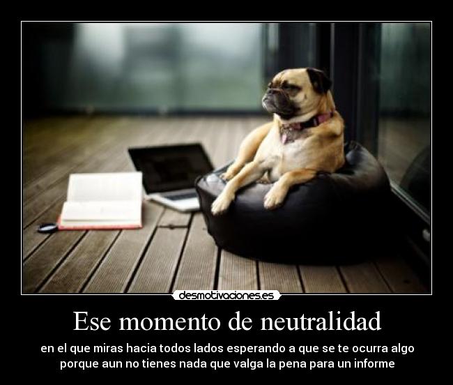 Ese momento de neutralidad - en el que miras hacia todos lados esperando a que se te ocurra algo
porque aun no tienes nada que valga la pena para un informe