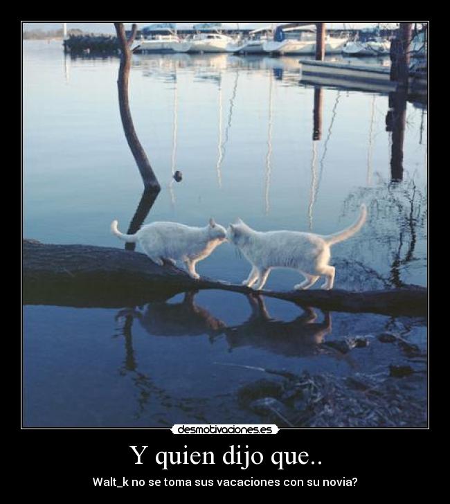 Y quien dijo que.. -