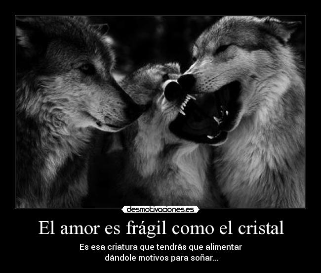 El amor es frágil como el cristal - 