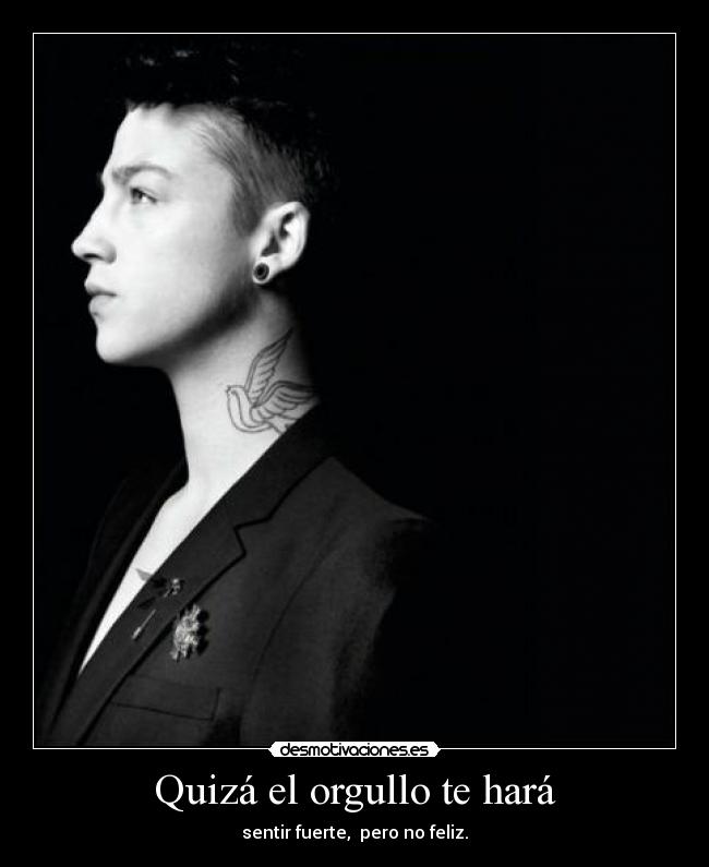 carteles quiza orgullo hara desmotivaciones