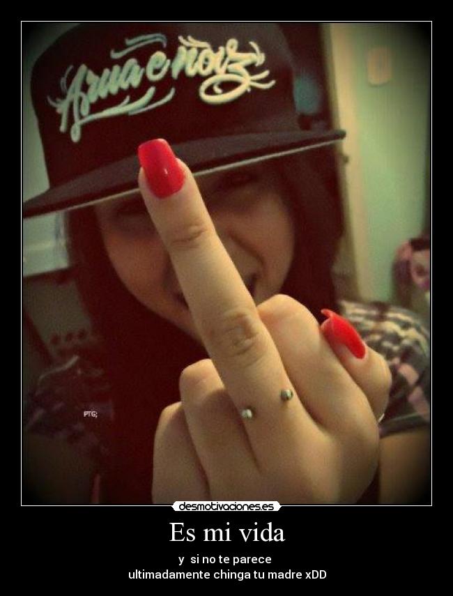 carteles vida vida desmotivaciones