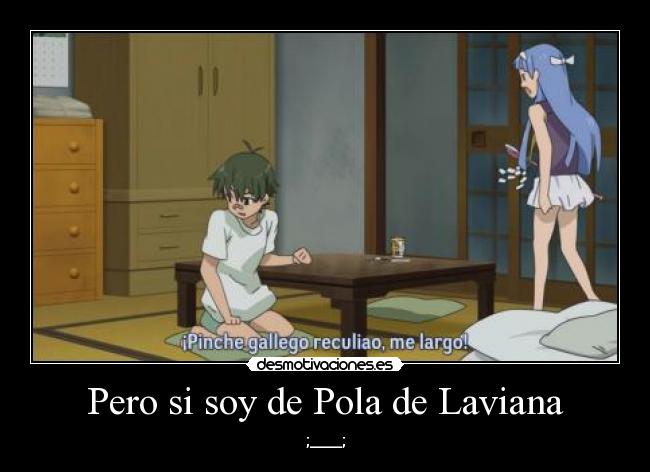 carteles idiotoglota sudacas wey pinche pendejo banaste galicia sitio precioso desmotivaciones