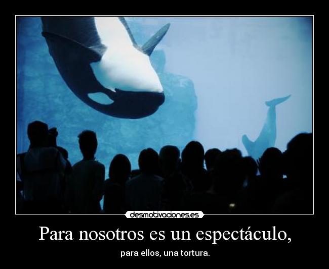 Para nosotros es un espectáculo, - para ellos, una tortura.