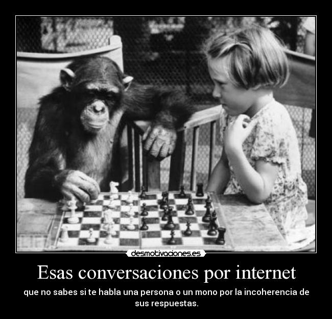 Esas conversaciones por internet -